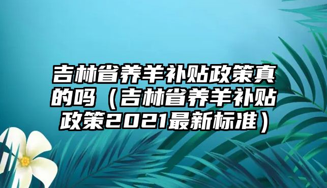 吉林省養羊補貼政策真的嗎（吉林省養羊補貼政策2021最新標準）